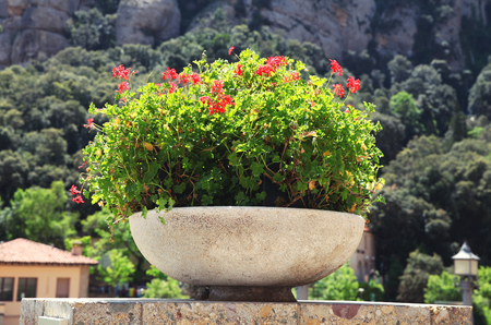 Flowers in a stone flowerpot on a mountain landscape backgroundの写真素材
