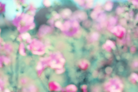 Soft vintage blurred floral background, spring pink flowers defocusedの写真素材