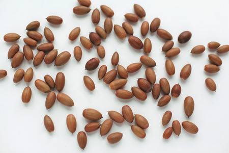 Many acorns oak on white background, top viewの写真素材