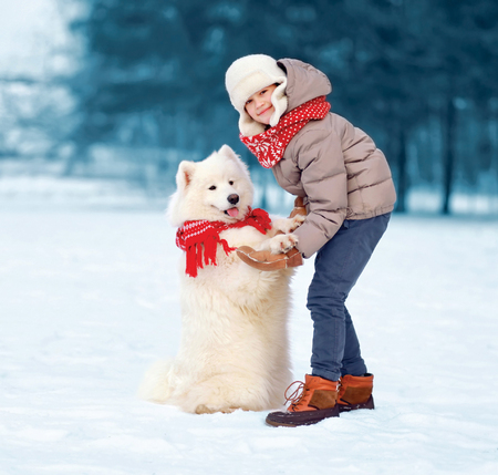 Christmas happy child walking with white Samoyed dog in winter day, dog gives pawの写真素材