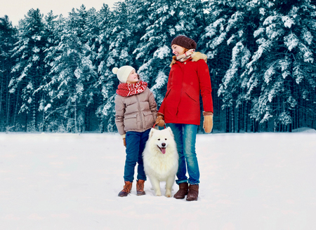 Happy smiling mother and son child walking together with white Samoyed dog in snowy winter day on forest backgroundの写真素材