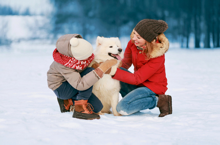 Happy smiling family having fun together in winter day, mother and child walking with white Samoyed dog in snowy parkの写真素材