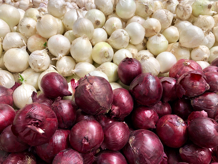 sale, food, vegetables and agriculture concept - close up white, red onion backgroundの写真素材