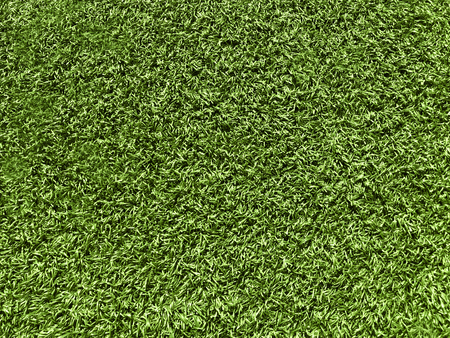 Green grass texture for backgroundの写真素材