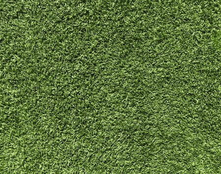 Nature concept - fresh green grass texture for backgroundの写真素材