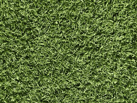 Nature concept - green grass texture for backgroundの写真素材