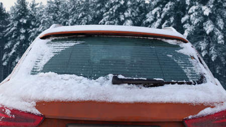 Frozen winter car covered snow, view rear window windshield on snowy forest backgroundの写真素材
