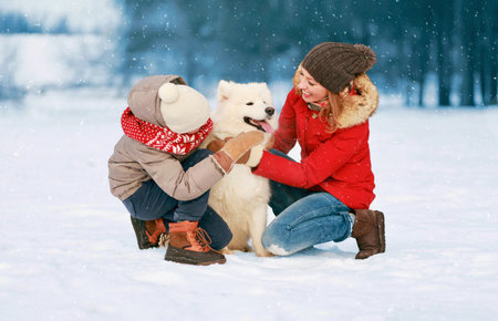Happy cheerful smiling family playing having fun together in winter day, mother and child walking with white Samoyed dog in snowy parkの写真素材
