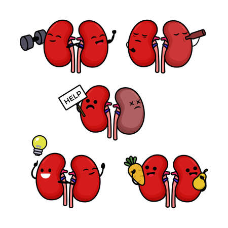 Set of cute kidney organ mascot designのイラスト素材