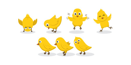 Set of chicks baby chicken character design illustrationのイラスト素材