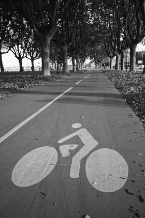 Bicycle symbol on the laneの写真素材