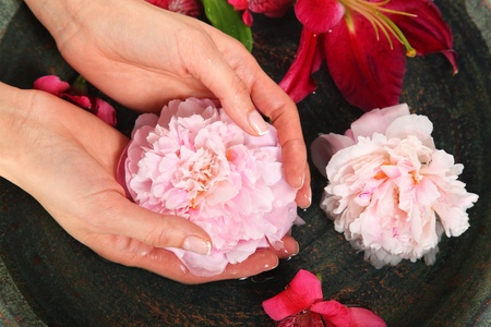 Woman in a nail salon receiving a manicureの写真素材