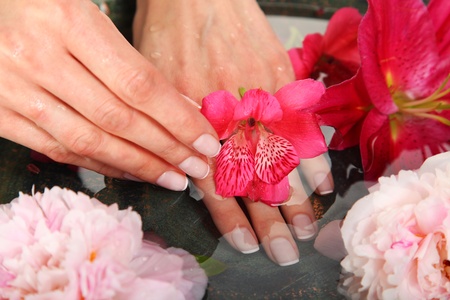 Woman in a nail salon receiving a manicureの写真素材