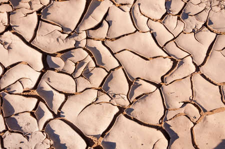 Drought and its Result - Scorched Earthの写真素材