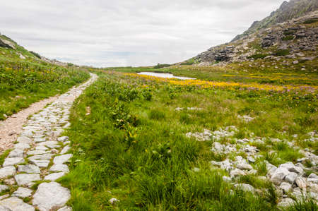 Path through Wielicki Garden (Wielicki Ogrod, Kvetnica, Zahradka)の写真素材