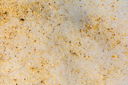 Chips from felled trees lie on the snow - patternの写真素材