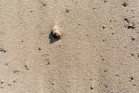 Sand - sedimentary rock, loose, composed of mineral grains bonded non mostly quartz - texture