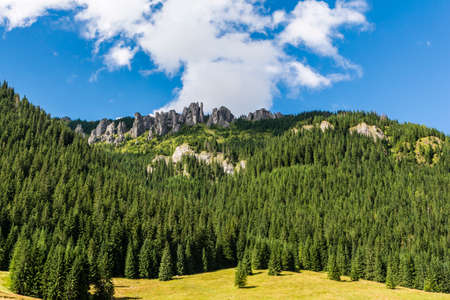 Crags monks Chochoowska Polana glade surrounded Chocholowskaの写真素材