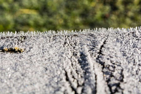 Crystals of frost in close-up in natureの写真素材