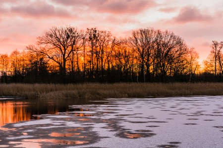 Orange color of the sky at sunrise on the background of trees and shrubs.の写真素材