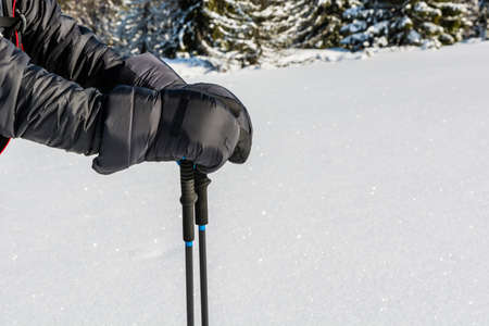 Hiker founded on hands very warm down filled gloves.の写真素材