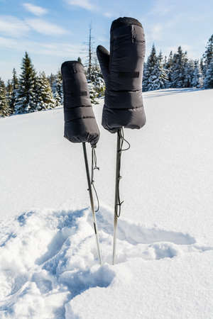 Expedition down filled gloves for trekking poles.の写真素材