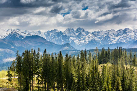 Landscape Tatra peaks seen in the spring above spruces.の写真素材