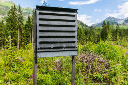 Insect trap to protect the remaining forest.の写真素材