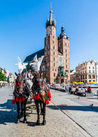 Krakow, Poland - August  26, 2016: Fiacre the reins black horses with St. Mary's Church in the background.のeditorial素材