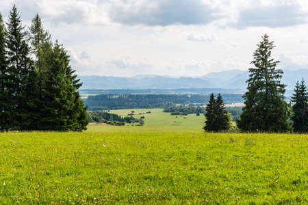 Meadows and forests and the mountains in the background.の写真素材