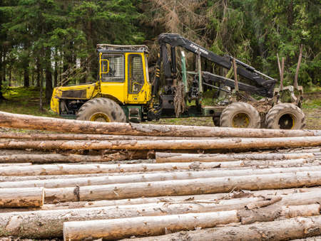 Ziar, Slovakia - September 04, 2016: Forwarder is a forestry vehicle that carries big felled logs from the stump to a roadside landing.のeditorial素材