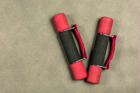 Light dumbbells for girls and women for fitness.の写真素材