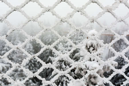 Big cold in the winter and its effect - frosted steel mesh.の写真素材