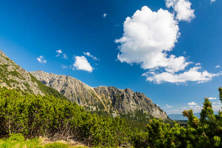 Beautiful spring has come to the mountains. A wonderful panorama of mountain nature.の写真素材
