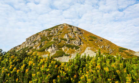 Rocks crossing the grassy slope, frequent view in the Western Tatras.の写真素材