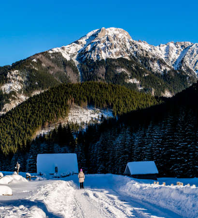 Witow, Poland - January 07, 2020: Woman with trekking poles on a walk in the snowy Chocholowska Valley in the Western Tatras, Poland. In the background a beautiful Kominiarski Wierch peak.のeditorial素材