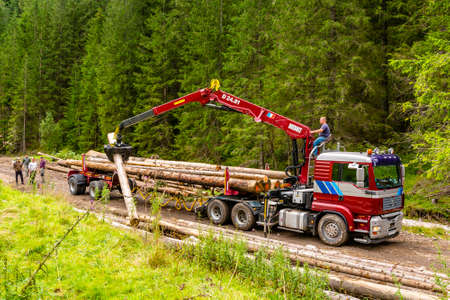 Kocielisko, Poland - September 03, 2020: Loading of tree trunks (logs) on the forest road for transport by truck to the sawmill.のeditorial素材