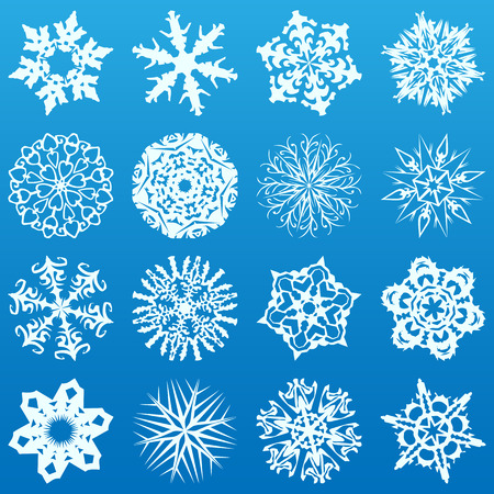 Set of 16 highly detailed complex snowflakes.のイラスト素材