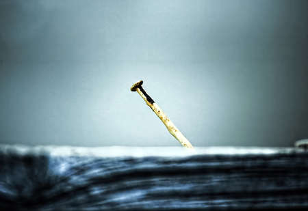 Rusted nail on woodの写真素材