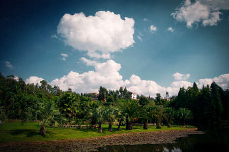 pond viewの写真素材