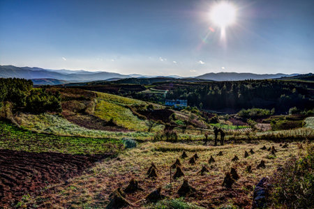 View of a countryside farmの写真素材
