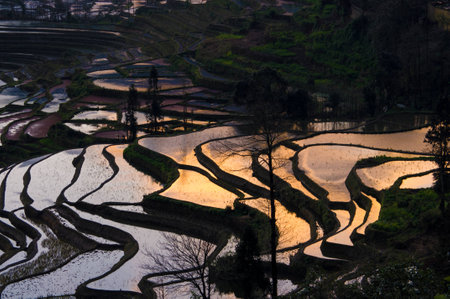 Sunset View Of Agricultural Field And Mountainsの写真素材