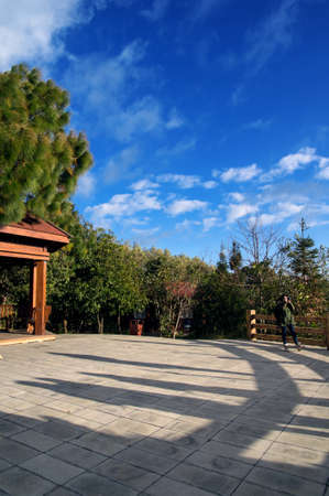 Person taking photograph in a parkの写真素材