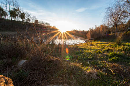 Scenic view of lake in a parkの写真素材
