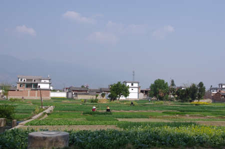 Farmers resting in a fieldの写真素材