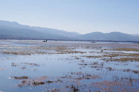 Scenic view of a riverの写真素材