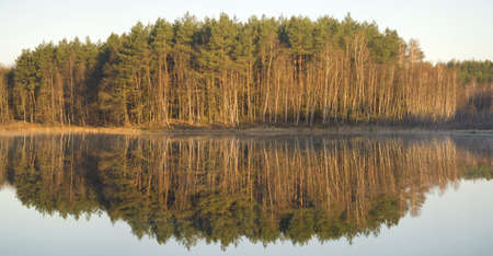 Lake, forest, morningの写真素材