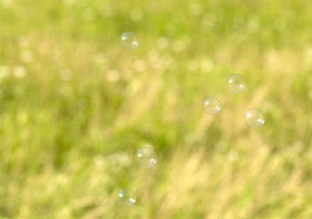 Soap bubblesの写真素材