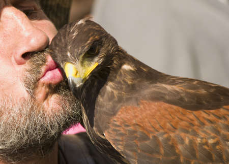Falconer and buzzardの写真素材