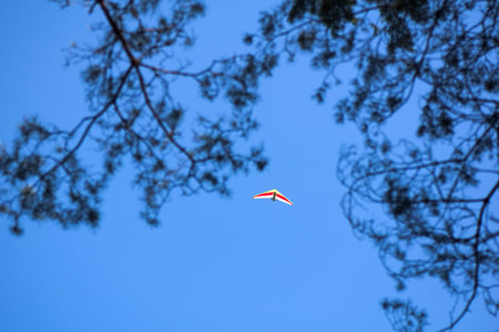 Powered gliders